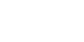 Vertex